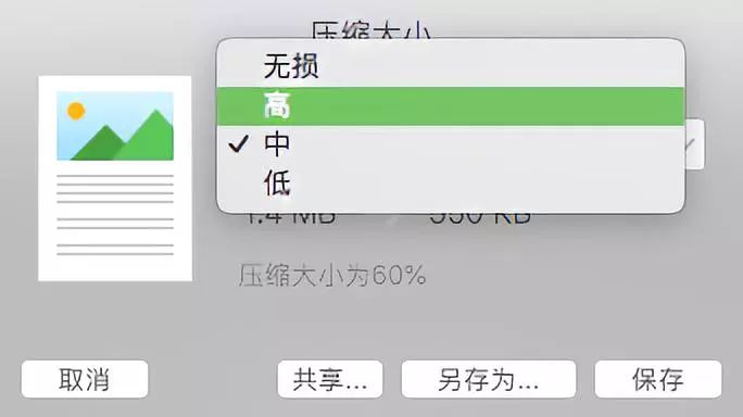 PDF Editor